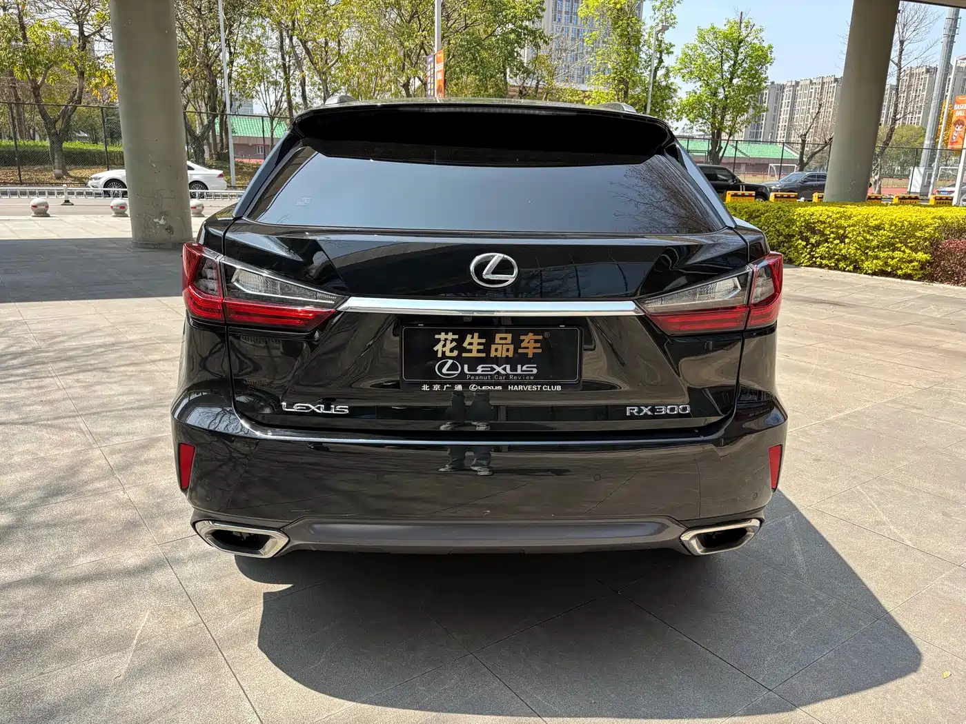 LEXUS RX