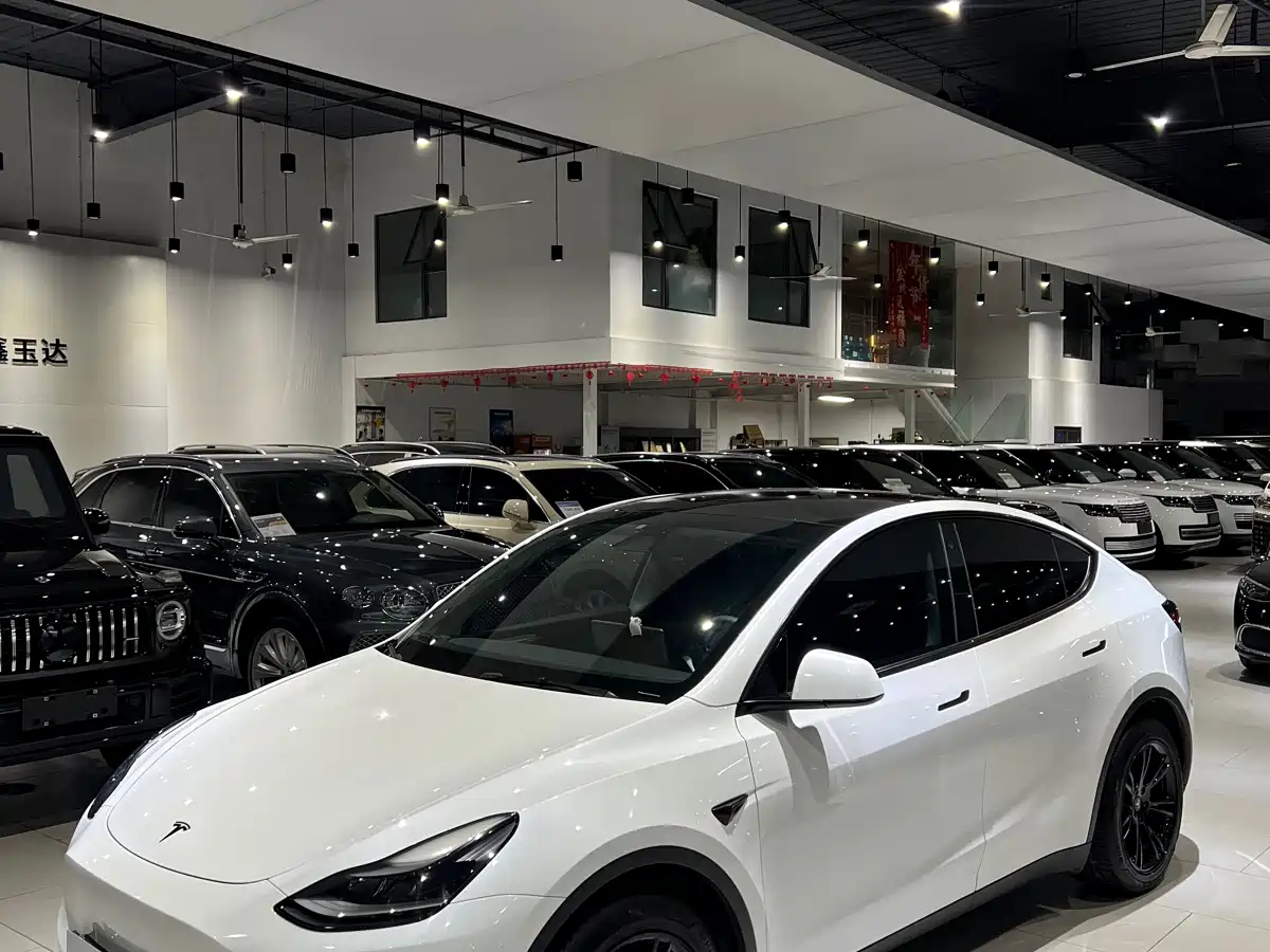 Tesla Model Y 2021 Model Long Range AWD