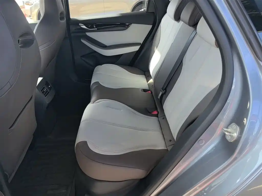 BYD Qin PLUS 2024 Glory Edition DM-i 55KM Leading фото 17