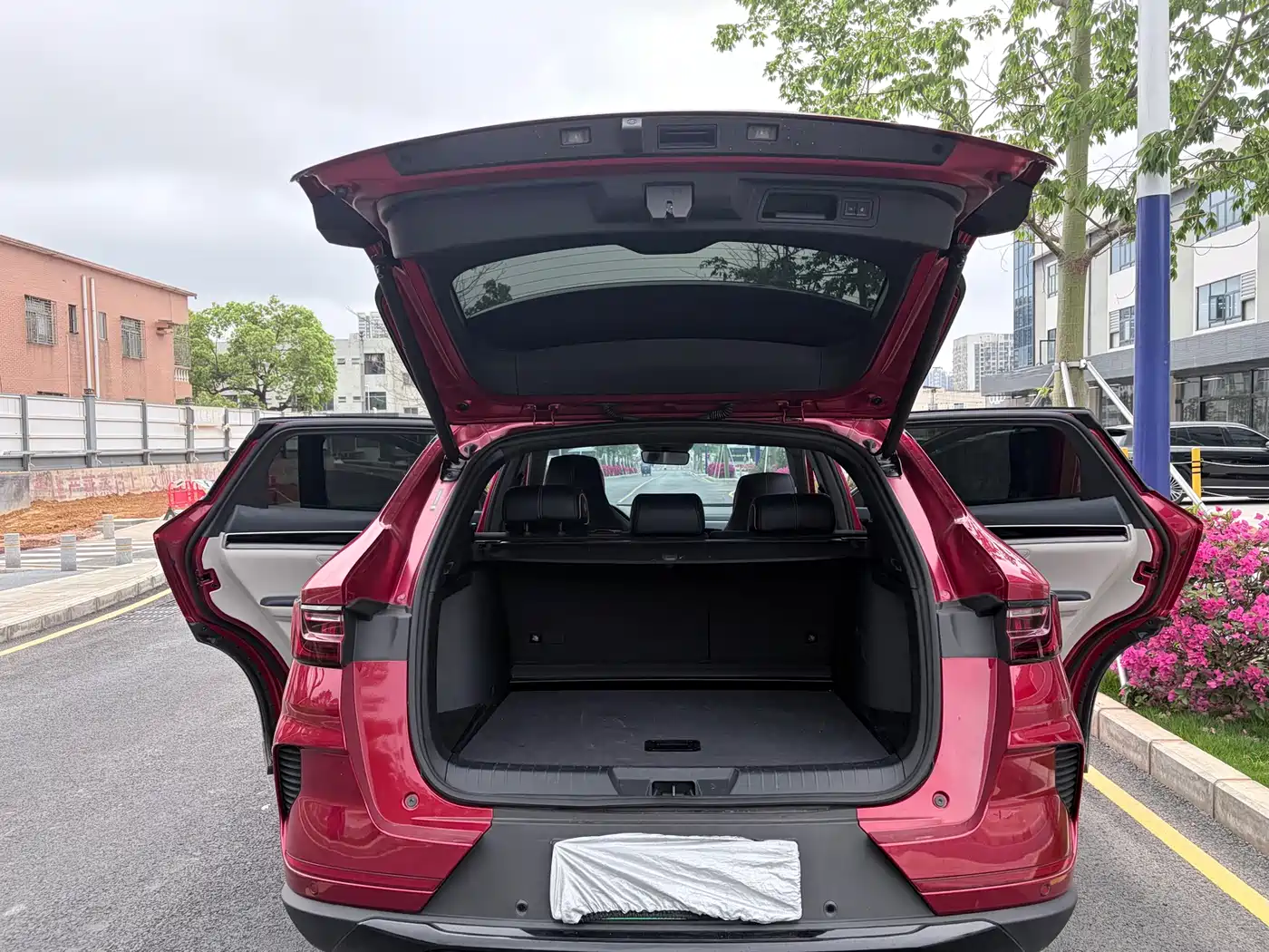 BYD SONGJIANG NEW ENERGY