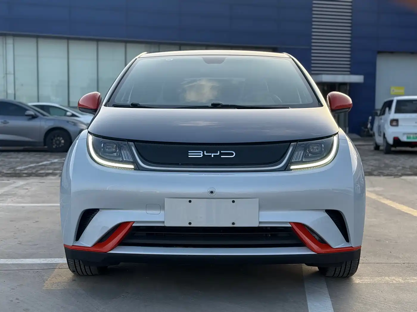 BYD Dolphin 2023 401km Knight Edition фото 2