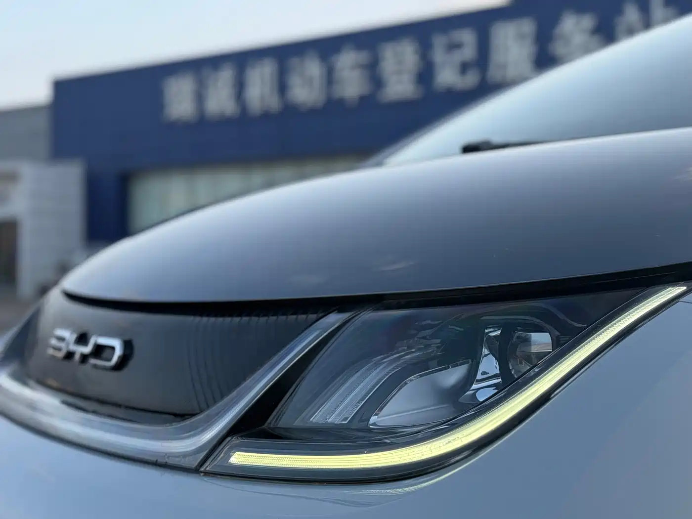 BYD Dolphin 2023 401km Knight Edition фото 9