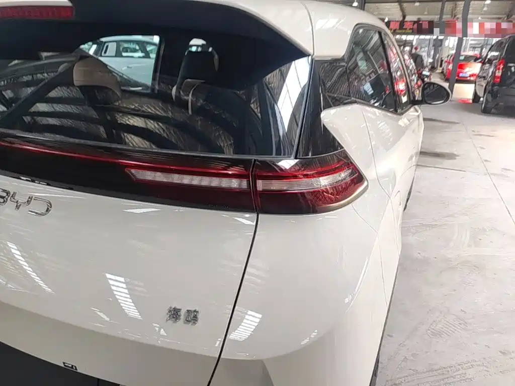 BYD Seagull 2026 2025 Smart Drive Edition 305km Vitality Version