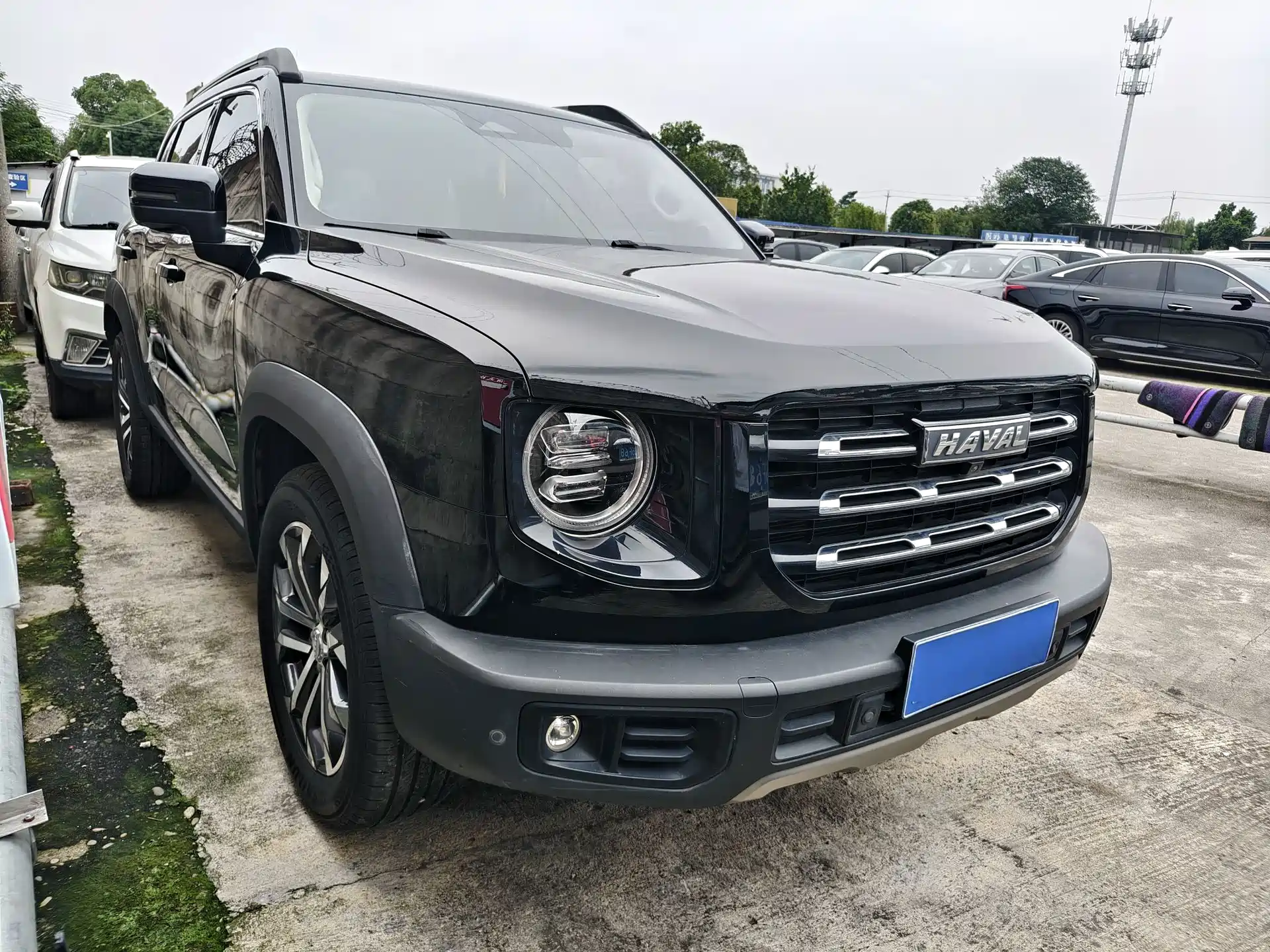 Фото 2 - Haval Dargo