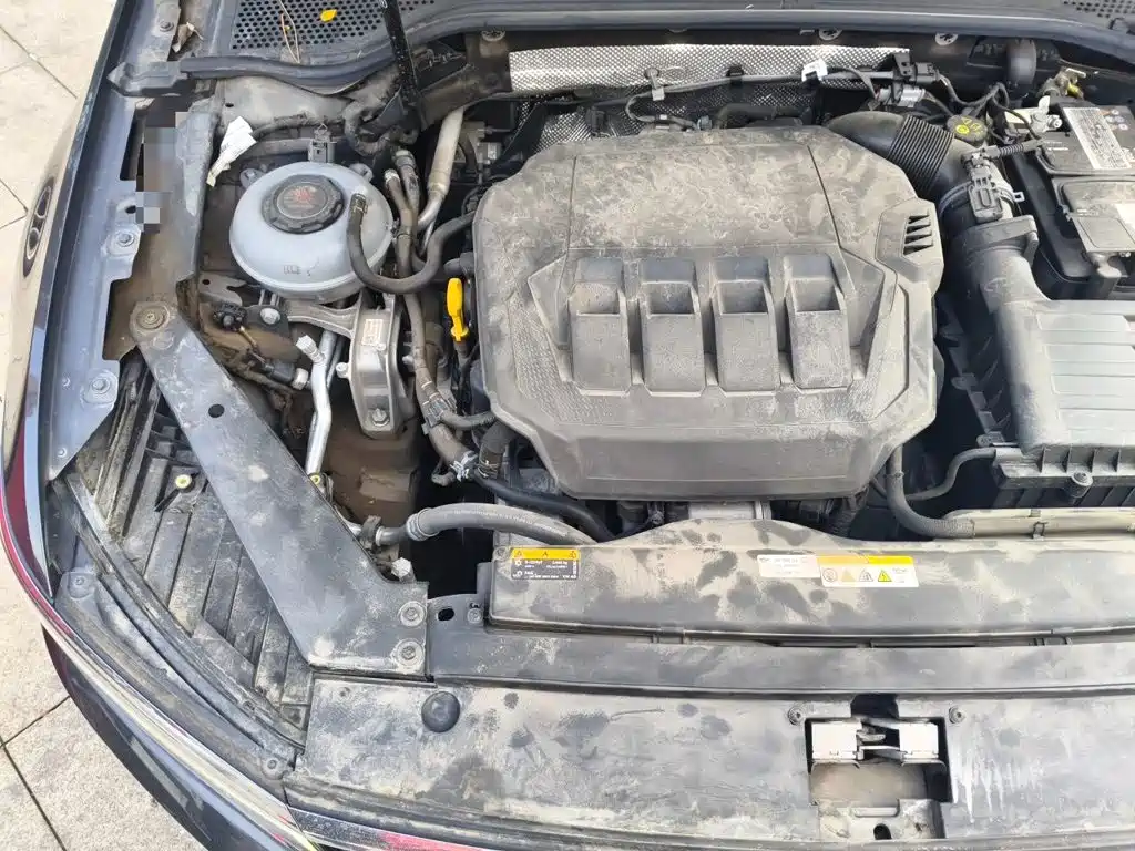 Volkswagen Weilan 2023 2021 2.0T Smooth Ride Edition