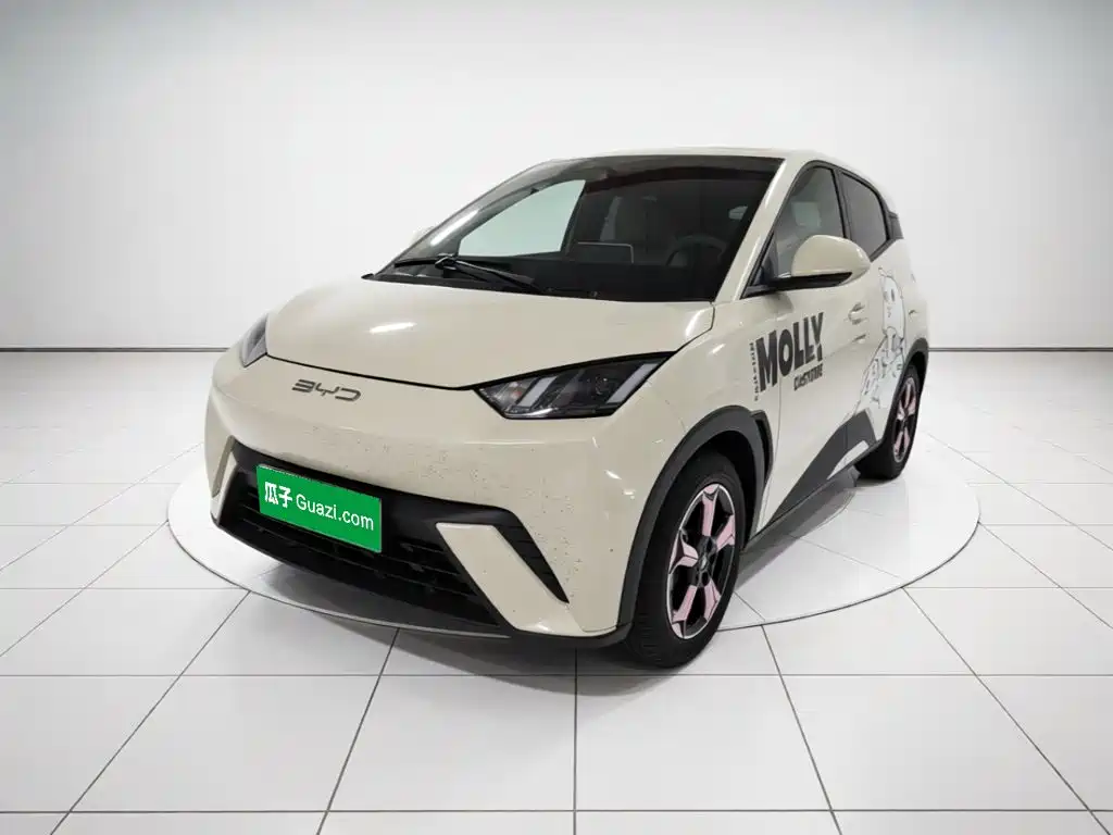 BYD Seagull 2023 2023 Flying Edition