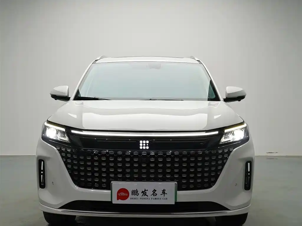 Landian E5 2024 2024 Glory Edition 100KM Ultimate Type 7-Seater