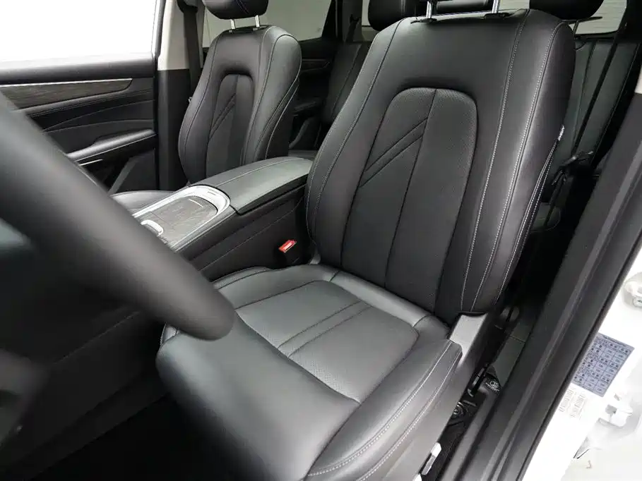 Landian E5 2024 2024 Glory Edition 100KM Ultimate Type 7-Seater