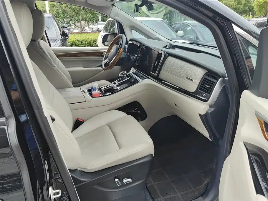 GAC Trumpchi Trumpchi M8 2023 Leading Series 390T Premium Edition фото 8