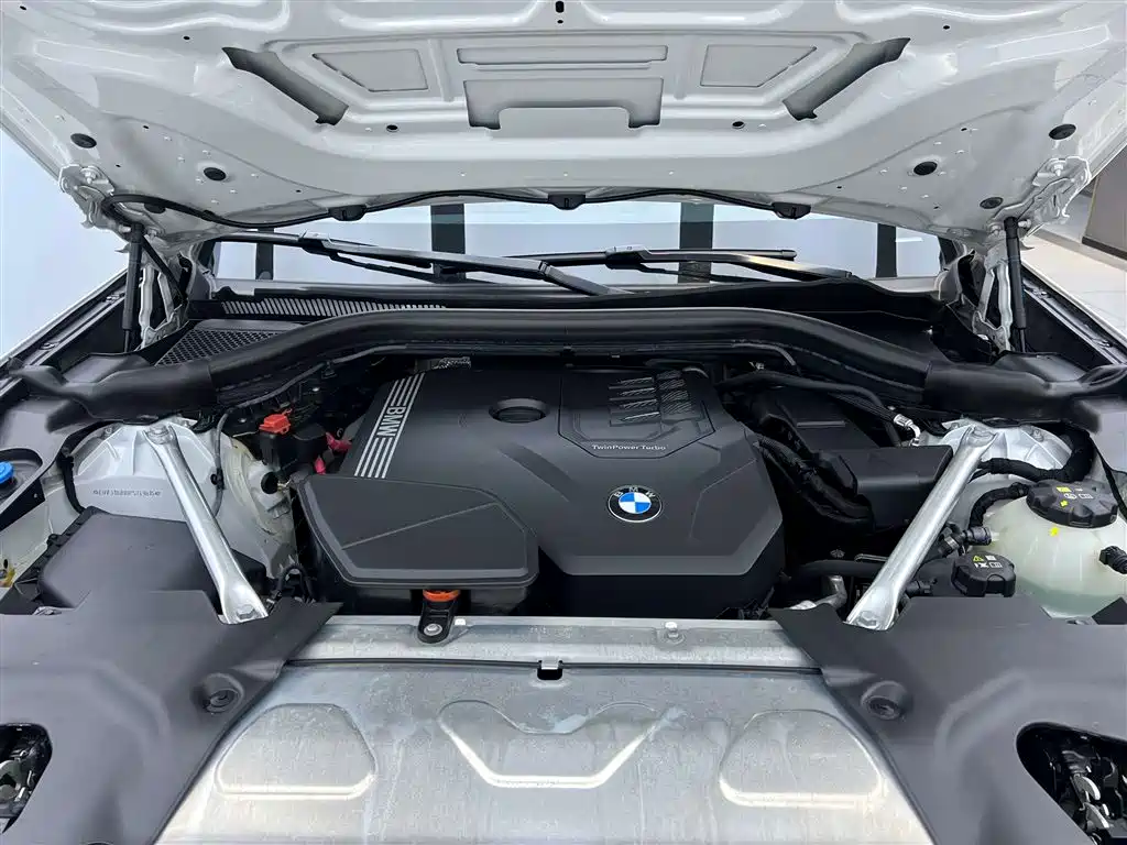 BMW X3 2023 xDrive30i Leading M Night Package фото 8