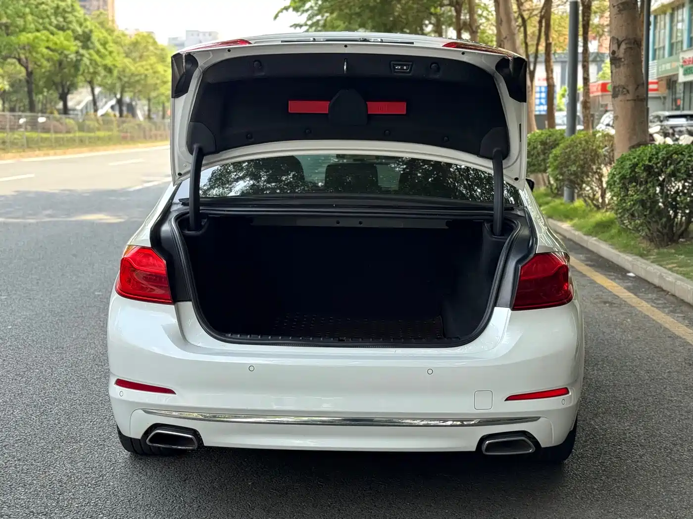 BMW 5 Series 2020 530Li Premium Luxury Package фото 16