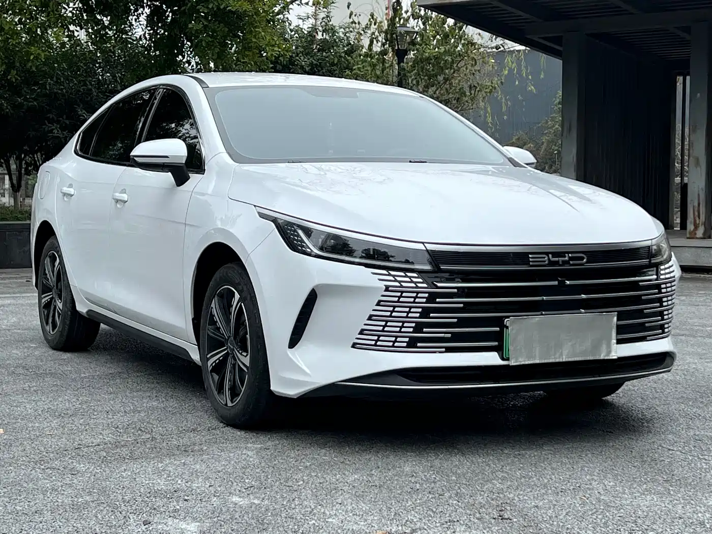BYD Destroyer 05 2023 Champion Edition DM-i 120KM Premium фото 3