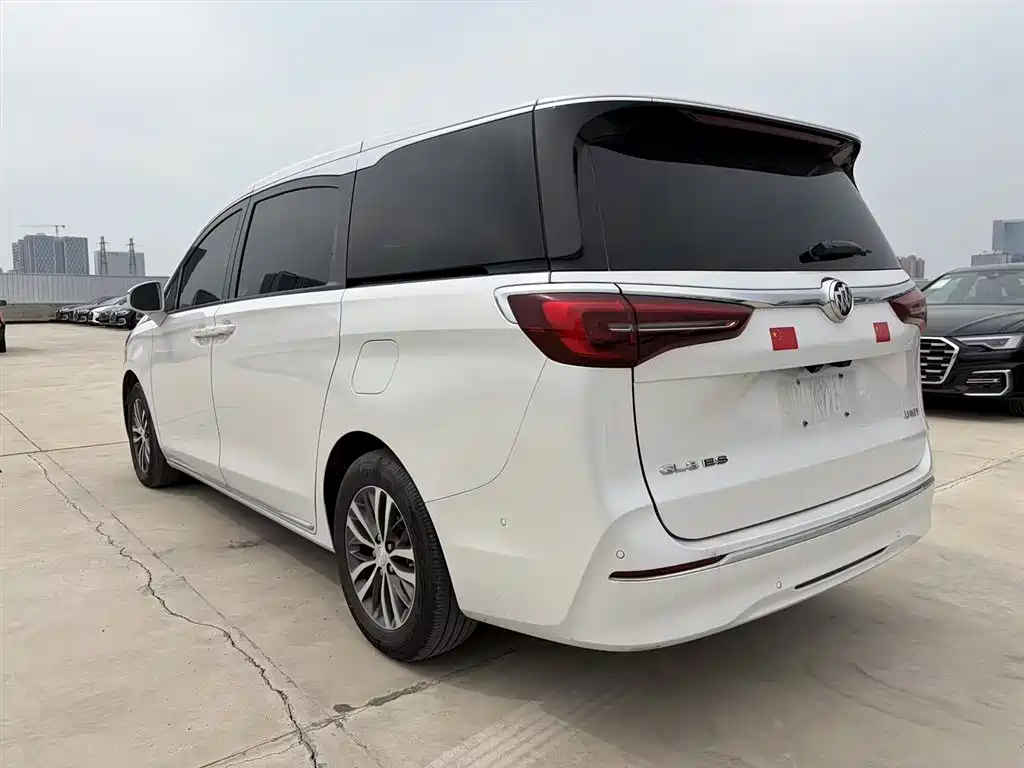 Buick GL8 2023 ES Landmaster Exclusive фото 8