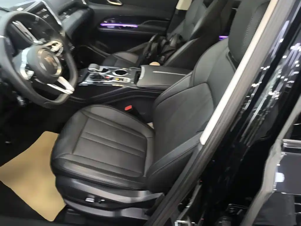 Hongqi HS3 PHEV 2025 2024 PHEV 115km Power Edition