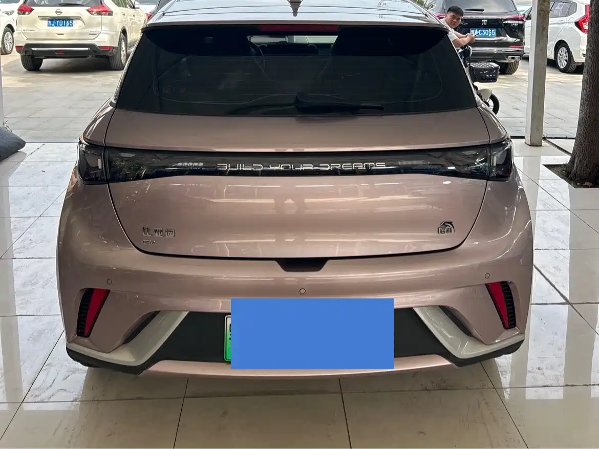 BYD Dolphin 2023 420km Fashion Edition фото 11