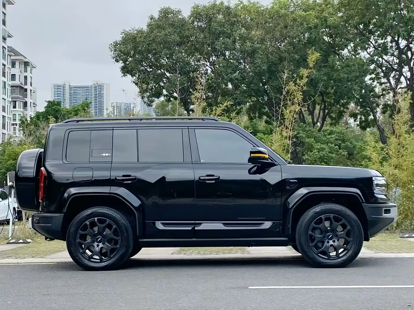 FANG CHENG BAO LEOPARD 5