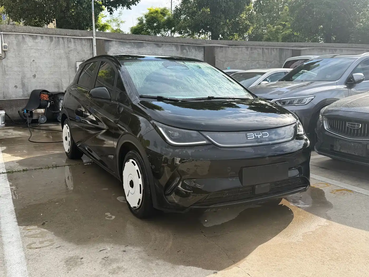 BYD Dolphin 2025 420km Freedom Edition фото 3