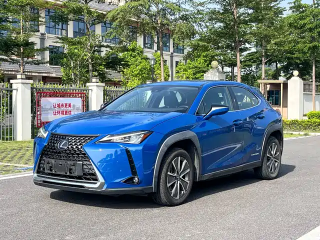 Lexus Lexus UX Electric 2020 300e Pure Yue Edition