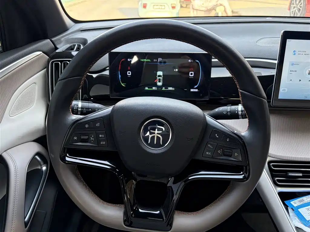 BYD SONGJIANG NEW ENERGY