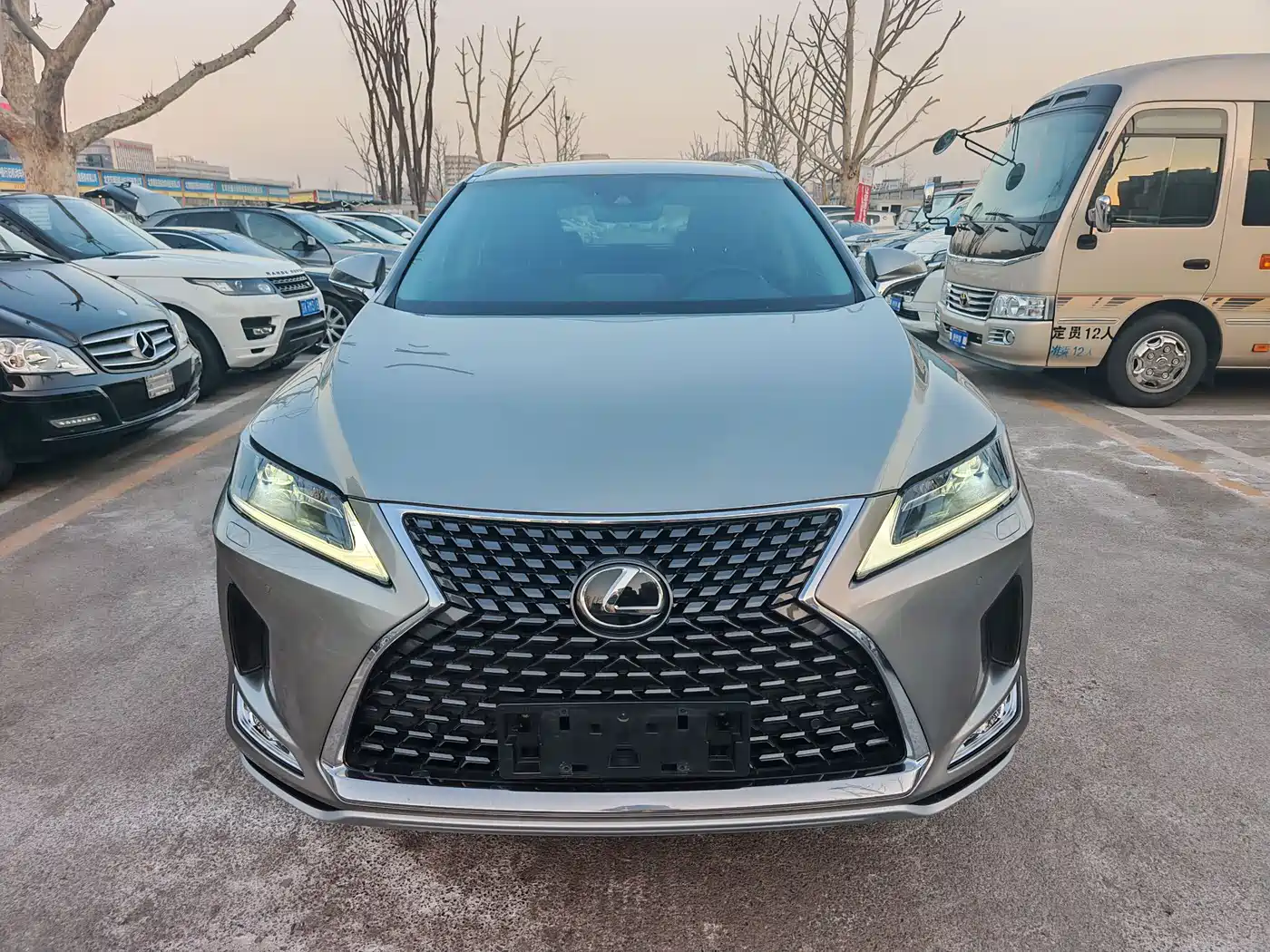Lexus RX 2020 300 2WD Comfort Edition China V фото 2