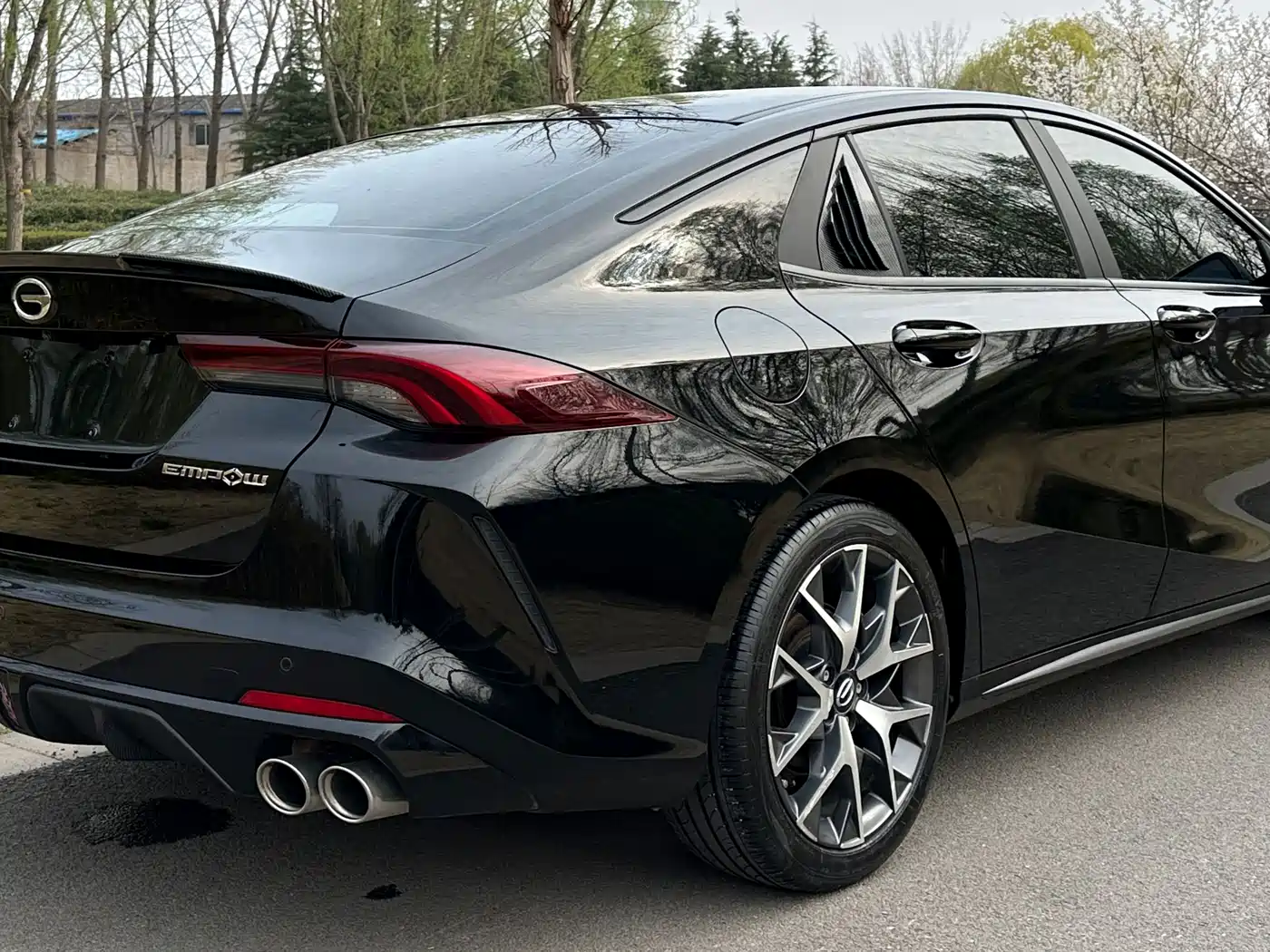 GAC TRUMPCHI SHADOW LEOPARD