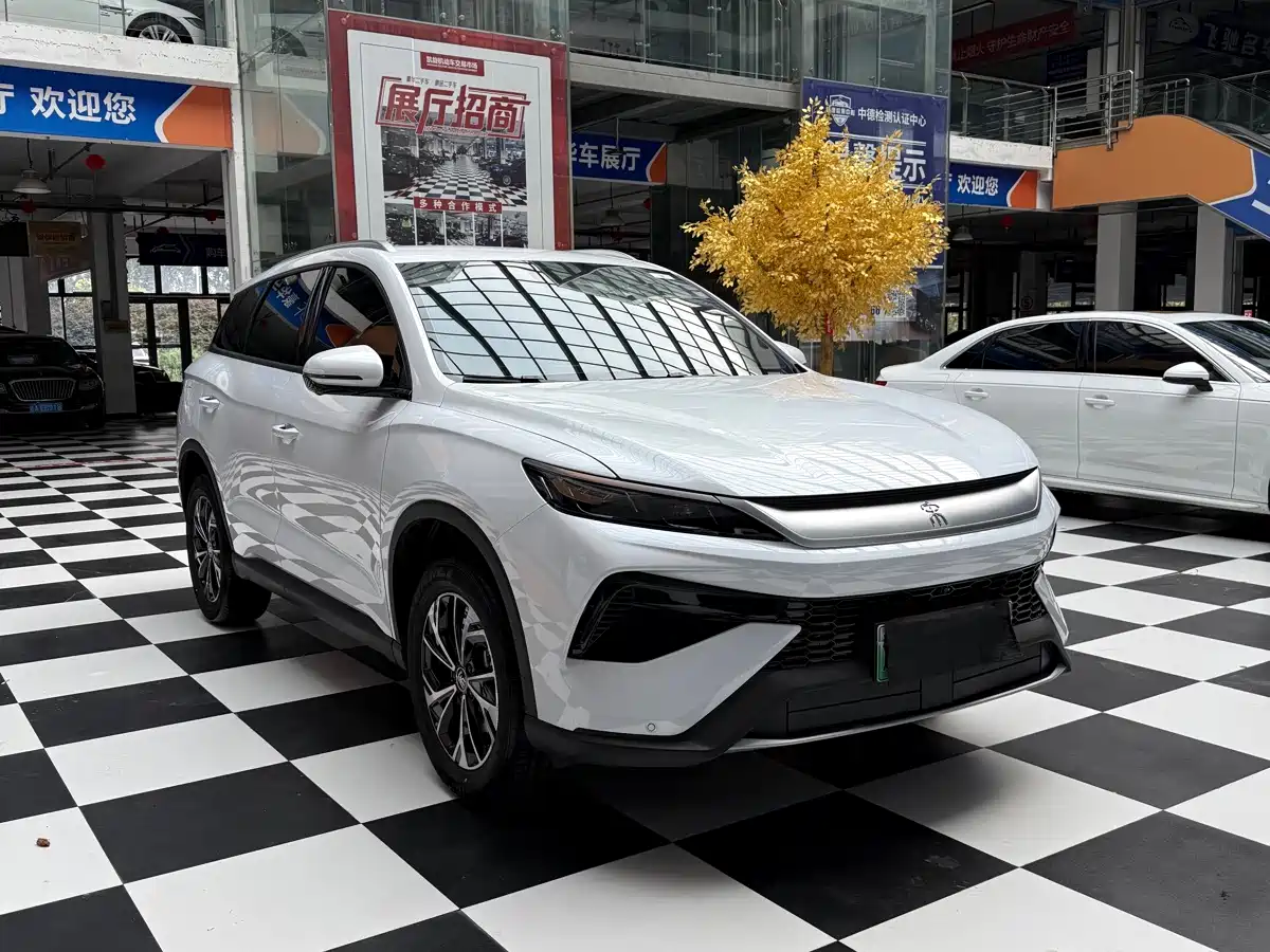 BYD Song Pro New Energy 2026 2026 DM-i 133KM Progressive