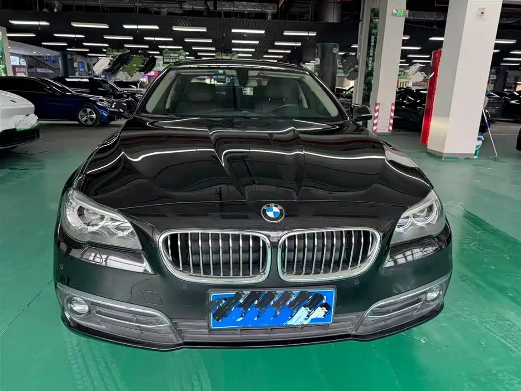 BMW 5 Series 2017 525Li Luxury Design Package фото 2