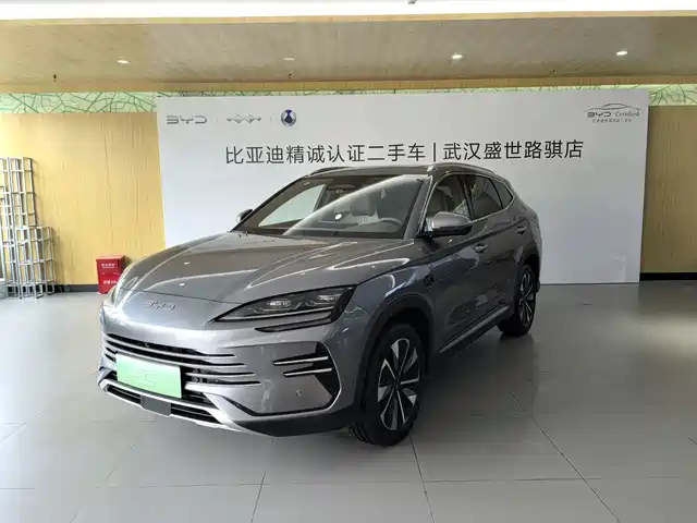 BYD SONGJIANG NEW ENERGY 2025