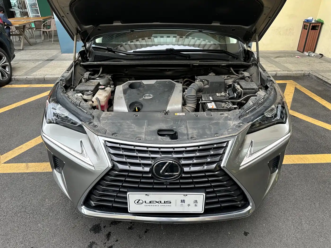 Lexus NX 2018 Model 200 AWD Fengshang Edition China V фото 4