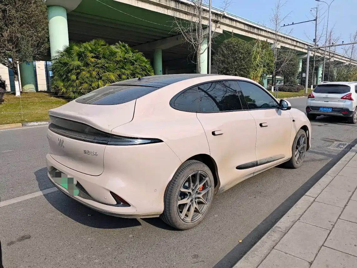 ZHIJI AUTOMOBILE ZHIJI LS6