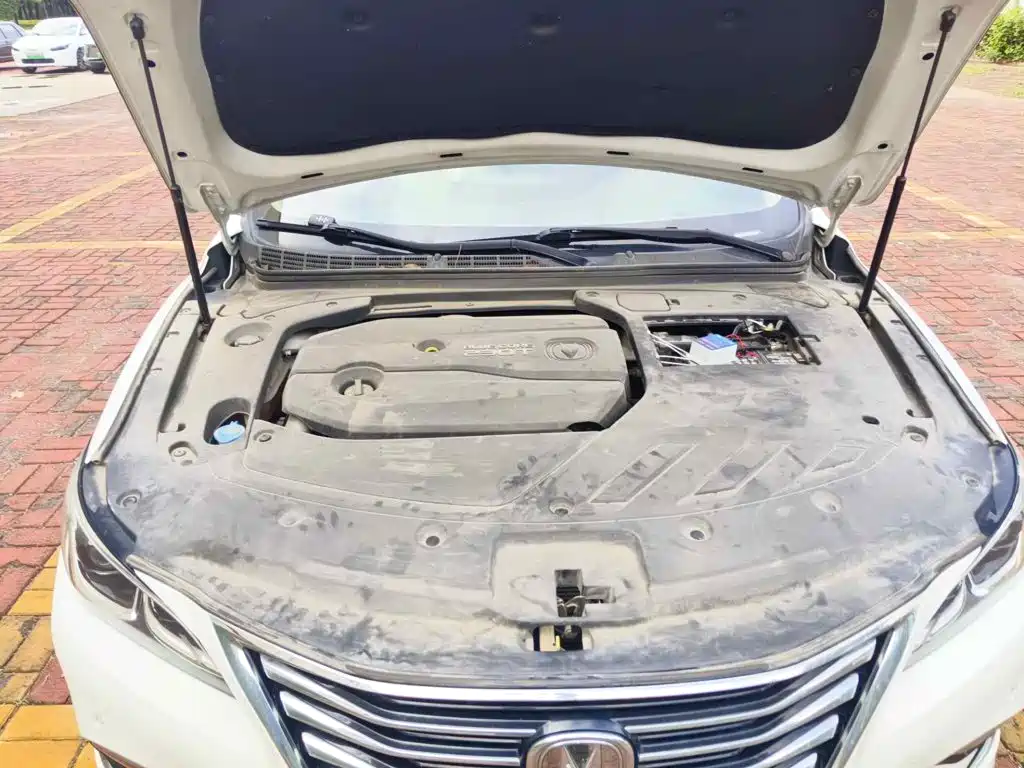 Changan Raeton CC 2018 2018 1.5T Auto Premium Class China V