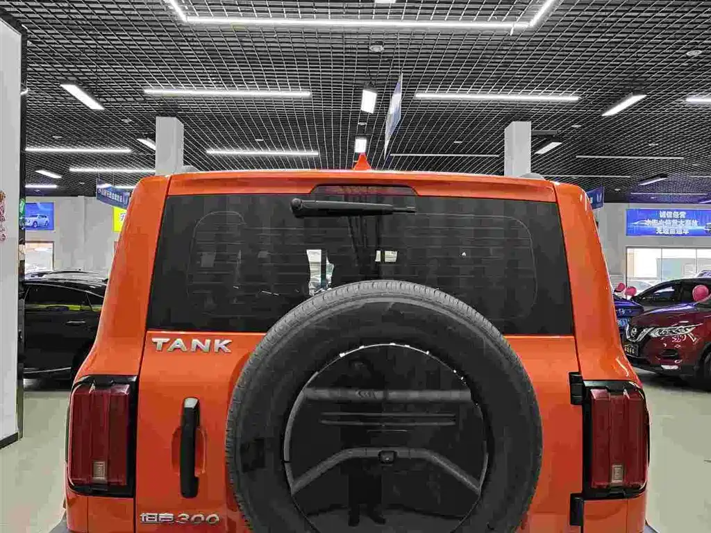Tank 300 2021 Off-road Version 2.0T Conqueror фото 5