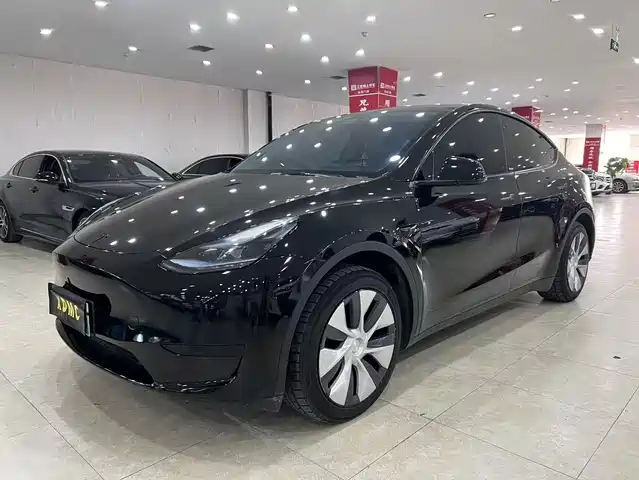  Tesla Model Y 2023 Rear-Wheel Drive Edition