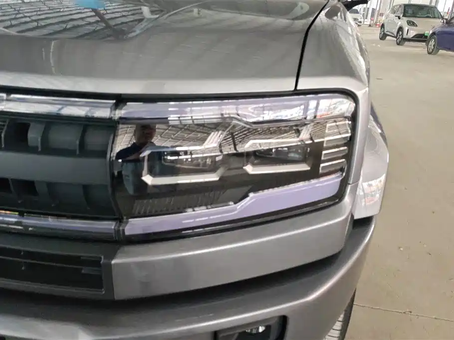 FANG CHENG BAO LEOPARD 5