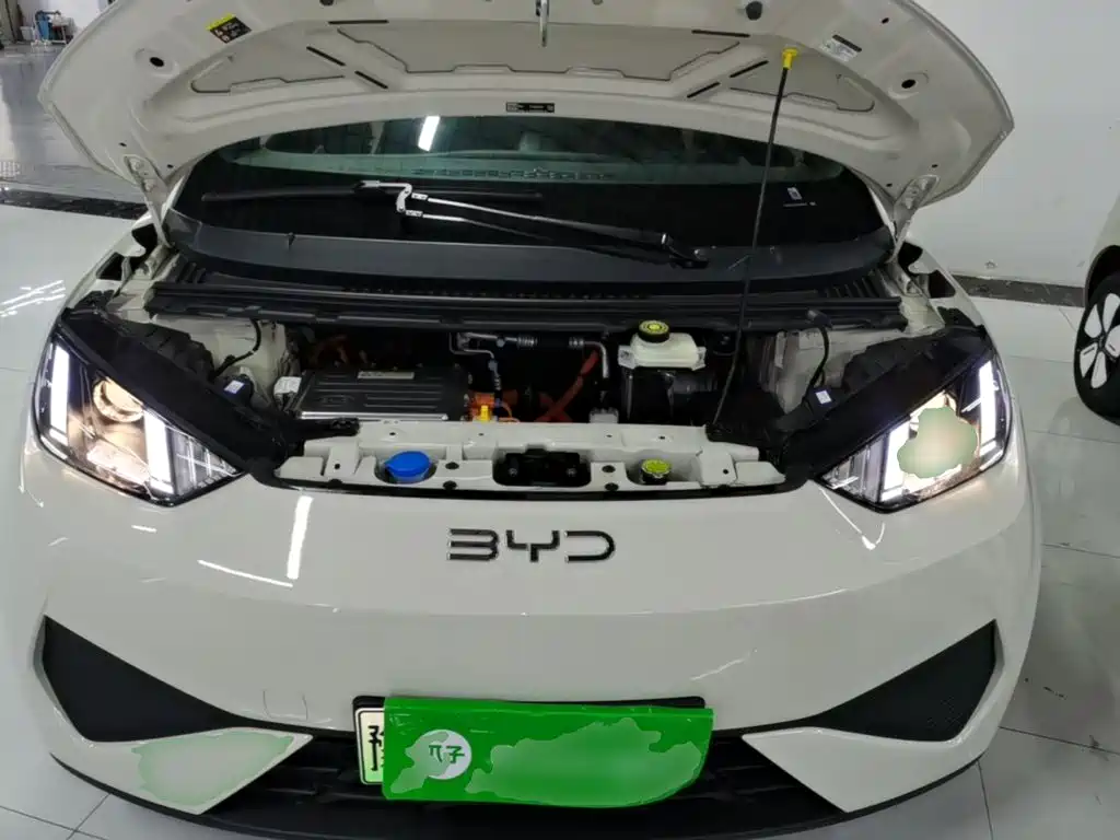 BYD Seagull 2026 2025 Smart Drive Edition 305km Vitality Version