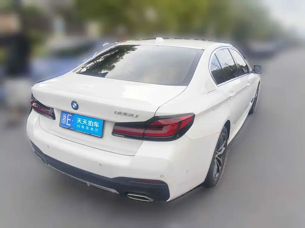 BMW 5 Series, миниатюра 2