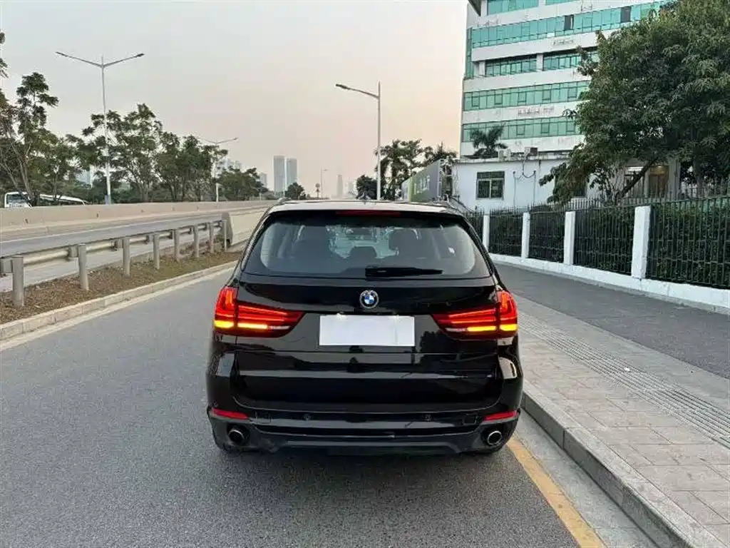 BMW X5 (Import) 2017 xDrive35i Elegance фото 8