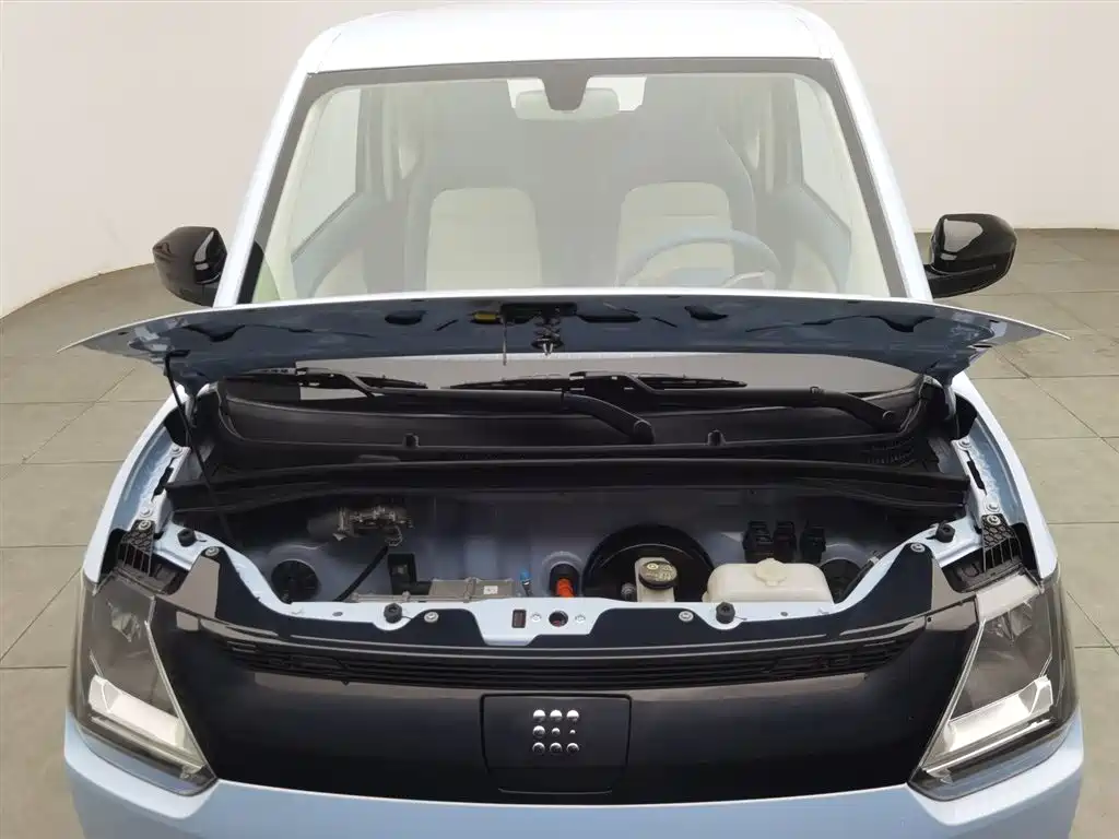 DONGFENG SCENERY MINIEV