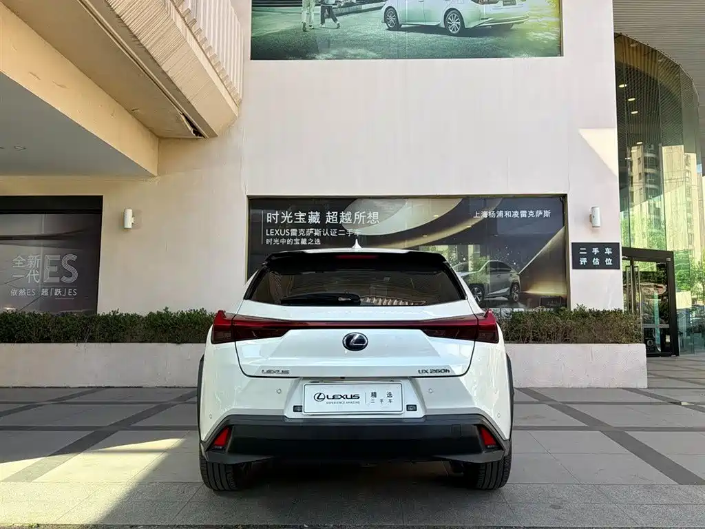 Lexus UX 2021 2020 260h Explore Fun Edition