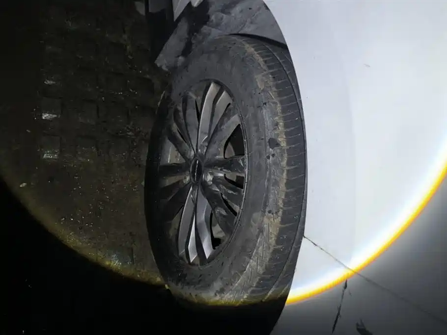 SAIC MAXUS CHASE G50