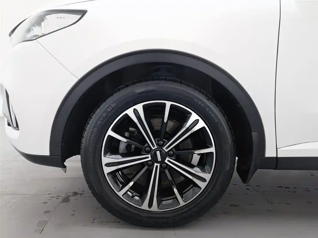 WEI PAI WEI BRAND VV6