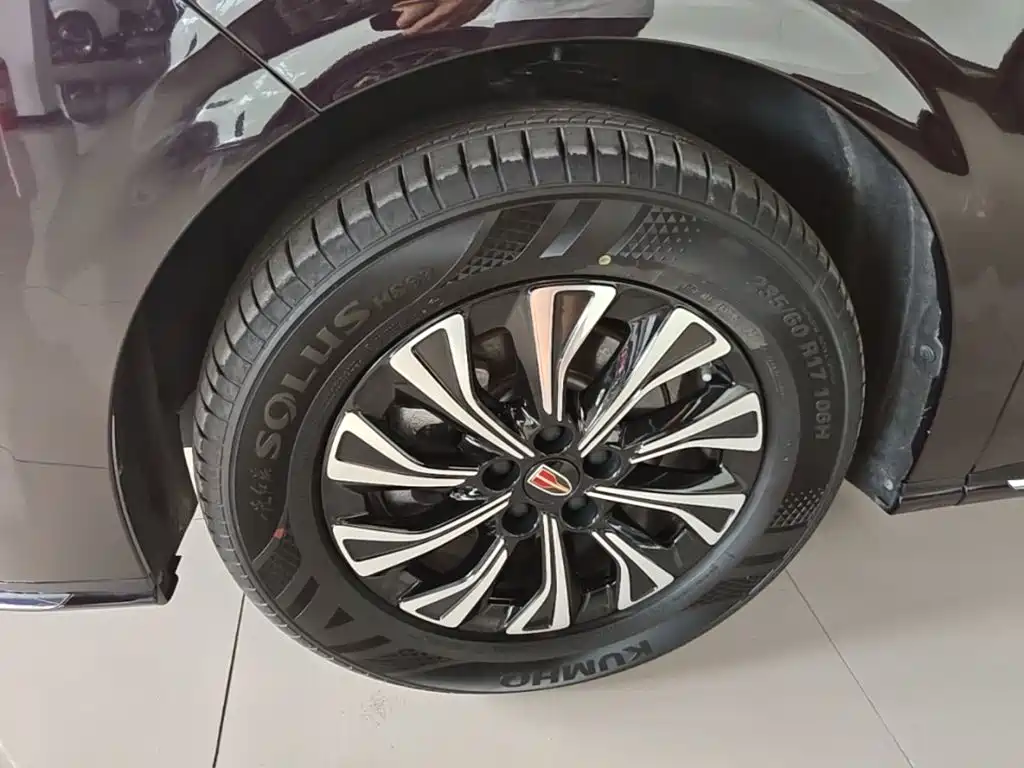 Hongqi HQ9 PHEV 2025 2024 Model 2.0T AWD Business Edition