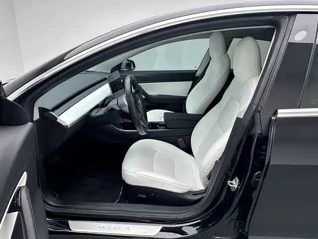 Tesla Model 3 (Import) 2019 2019 Long Range RWD Version