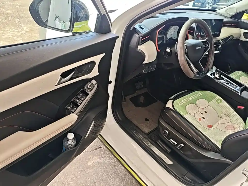 Haval Chitu 2021 2021 Boost Edition 1.5T Platinum Rabbit