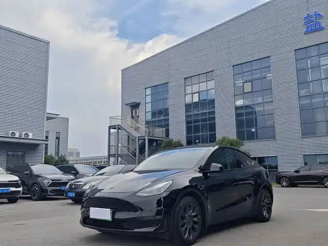 Tesla Model Y Увеличенный запас хода, полный привод