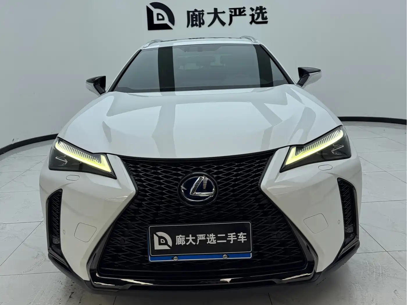 Lexus UX 2019 2019 260h F SPORT AWD Edition China VI