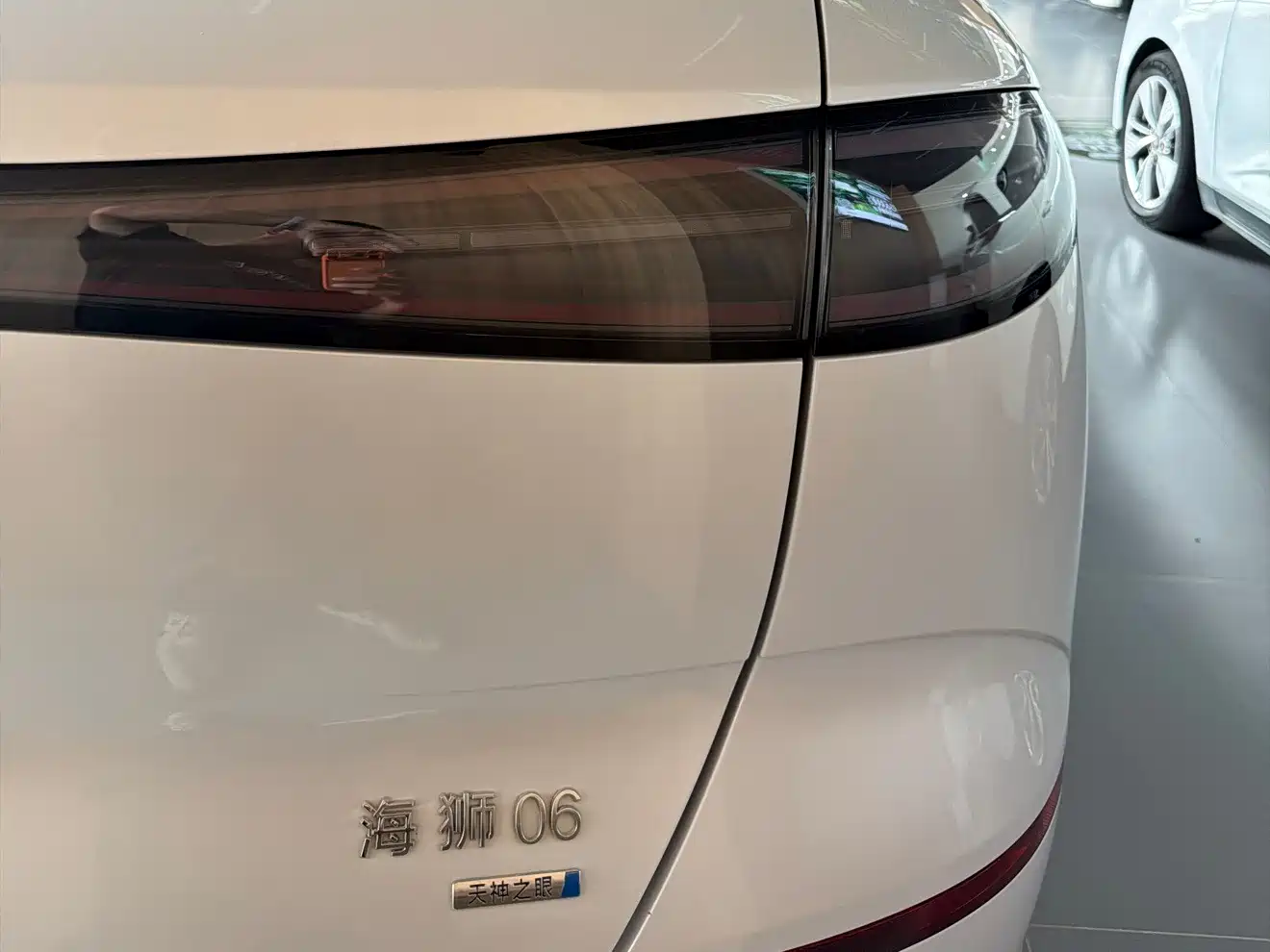 BYD Sealion, миниатюра 11