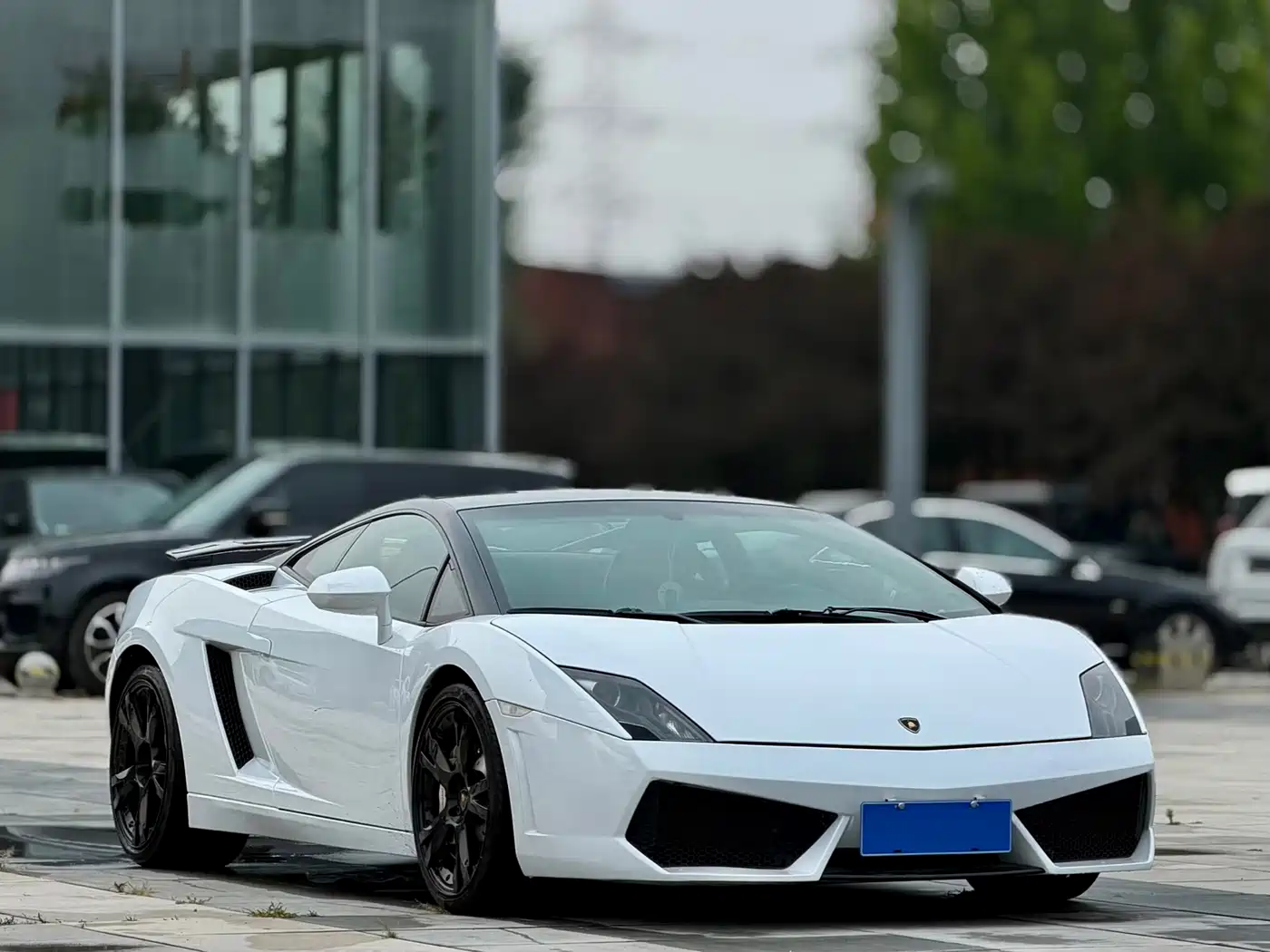 Lamborghini Gallardo 2009 2008 LP 560-4