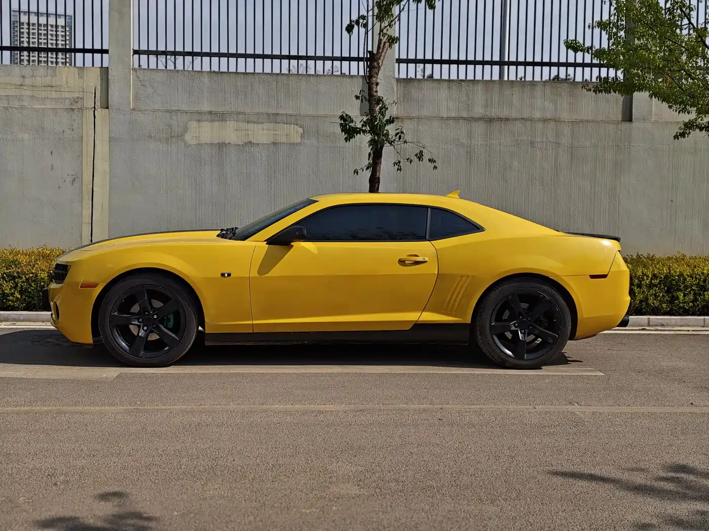 Chevrolet Camaro 2012 3.6L Legend Performance Edition фото 3