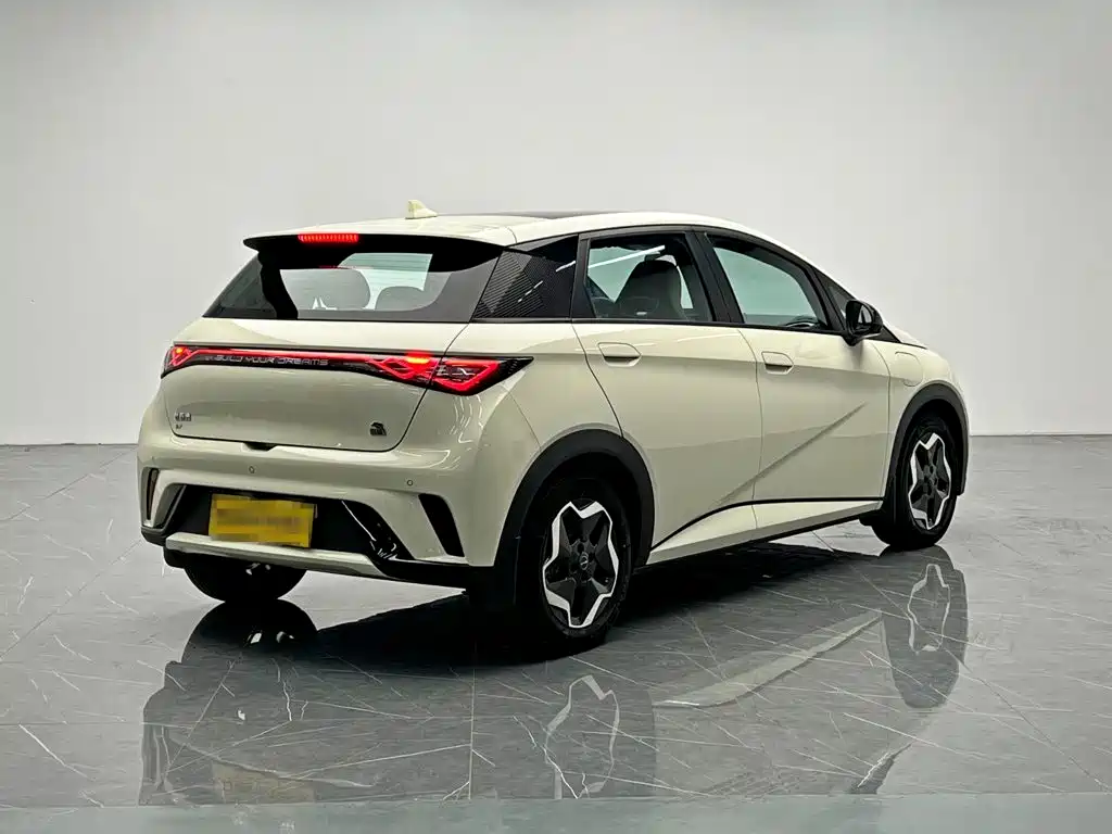 BYD Dolphin 2022 2021 Model 405km Fashion Edition